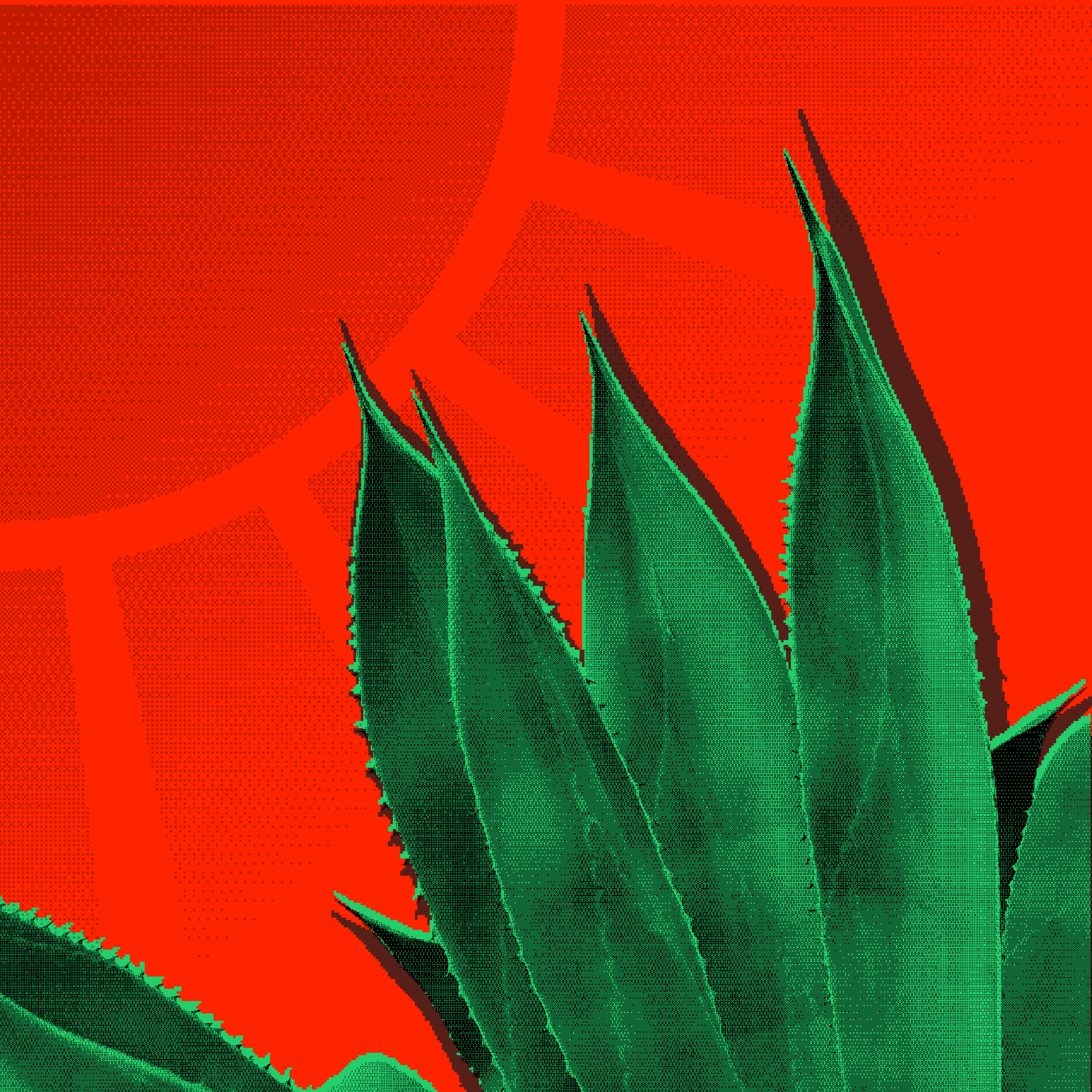 Desert.EXE NFT - Aridrop