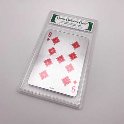 Mystery Cactus Collector's Card • 2025 Cactus Desert Casino