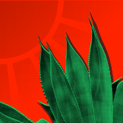 Desert.EXE NFT - Aridrop