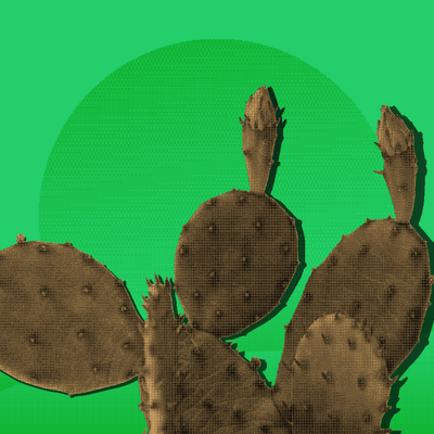 Desert.EXE NFT - Aridrop