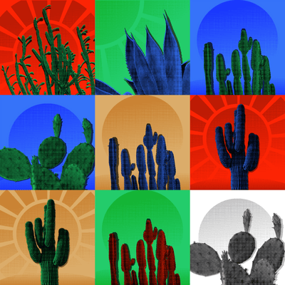 Desert.EXE NFT - Aridrop